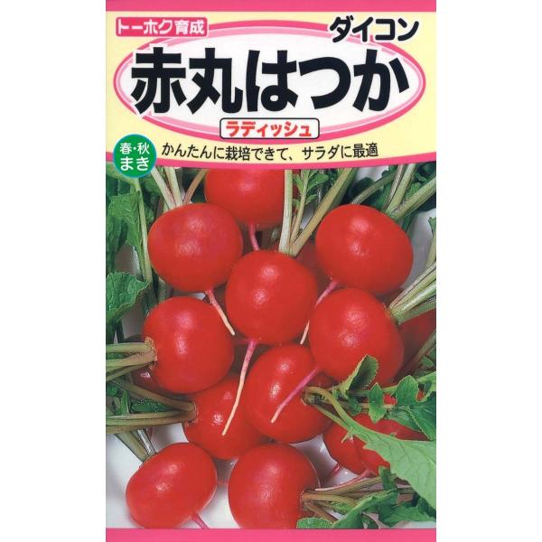 ؂̎ Ԋۂ͂卪 fBbV Q܂܂őVR~ Dǔz̓Nbv|Xgő185~