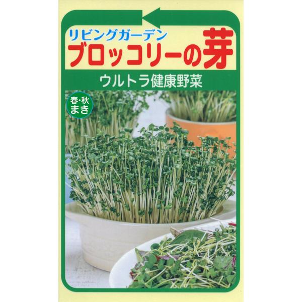 野菜の種 ブロッコリーの芽 健康野菜  優良配送はクリップポストで１０袋まで送料１５０円