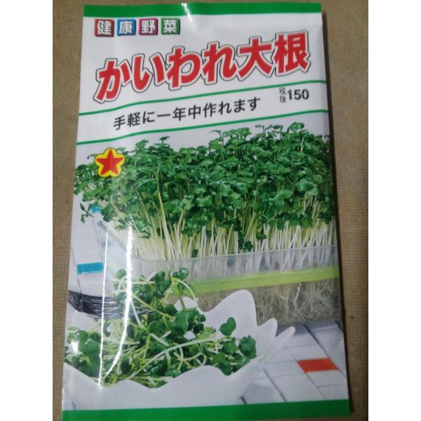 野菜の種 カイワレ大根 スプラウト 健康野菜 かいわれ大根 優良配送のクリップポストで10袋まで送料１５０円 かいわれ