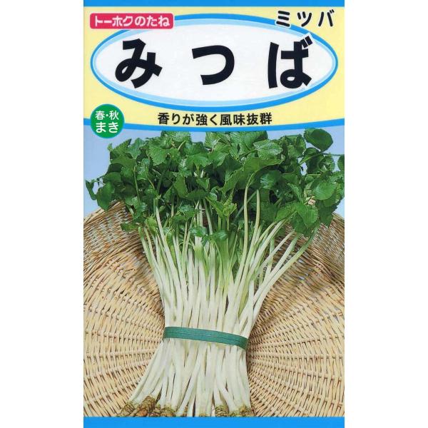野菜の種 みつば 三つ葉 ４袋まで送料７３円 優良配送はクリップポストで１０袋まで送料185円