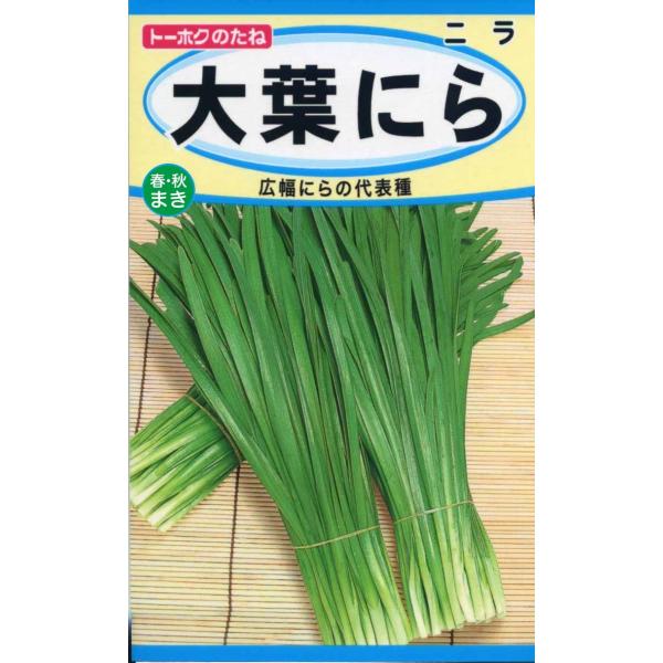 野菜の種 大葉にら 広幅ニラ  優良配送のクリップポストで１０袋まで送料１５０円