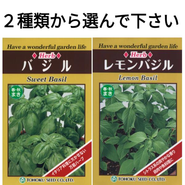野菜の種 バジル,レモンバジル 優良配送のクリップポストで１０袋まで送料１５０円