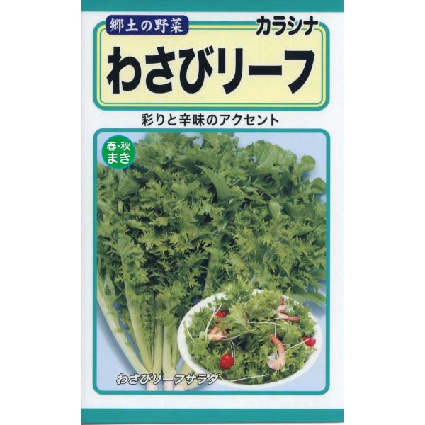 野菜の種 わさびリーフ からし菜  優良配送のクリップポストで１０袋まで送料１５０円 レタス