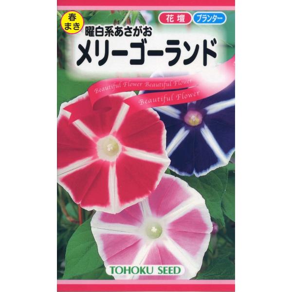 花の種 曜日系朝顔 メリーゴーランド アサガオ あさがお  優良配送のクリップポス トで１０袋まで送料２００円