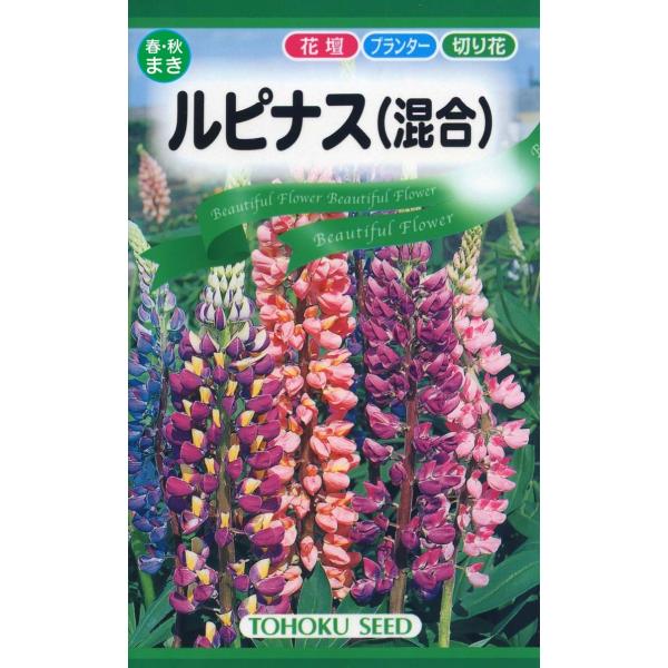 Ԃ̎ siXS܂܂őVR~  Dǔz̓Nbv|X gő185~