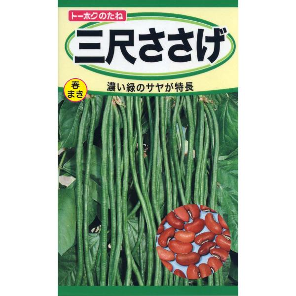 三尺ささげ50cm近くにもなる若莢を利用する、太く濃緑に改良したササゲです。熱帯地方原産ですので暑さの中でもつるを伸ばして成長し、次々と収穫できる豊産品種です。濃い緑のサヤが特長です＊発芽適温25℃前後　生育適温20〜30℃　　第４種郵便で...