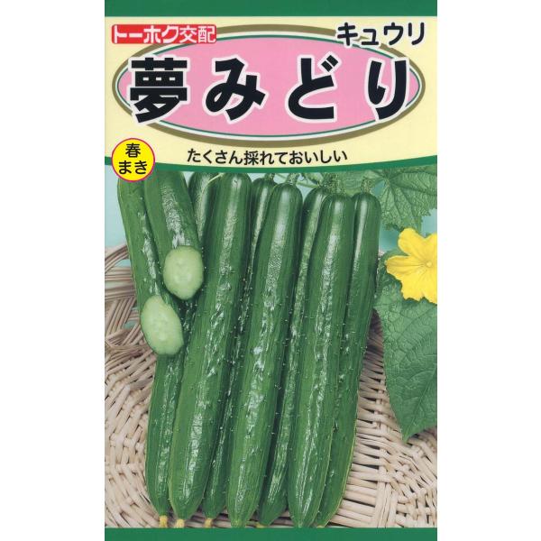 野菜の種 きゅうり 夢みどり 優良配送のクリップポストで１０袋まで送料１５０円