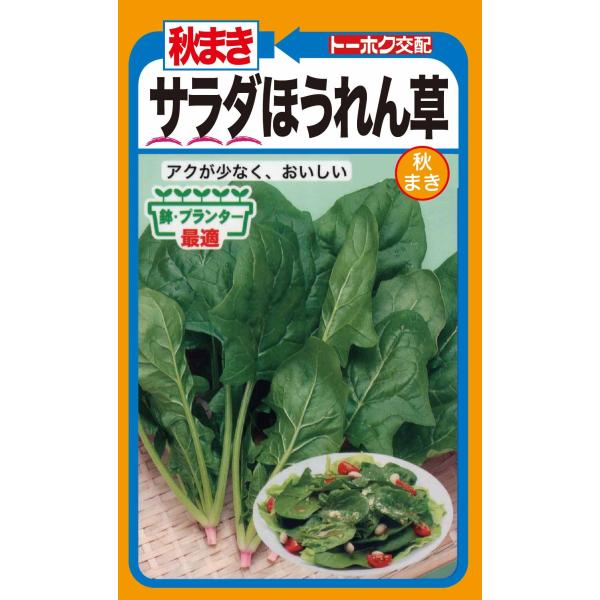 秋まき　サラダほうれん草葉も茎もやわらかく、アクが少ないので生のままサラダで美味しく食べられる品種。葉は光沢あって料理映えします。家庭菜園でも手軽に栽培できて楽しめます。●地域別の蒔き時を２枚目以降の画像で必ず確認して下さい。「標準的栽培事...