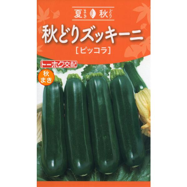 野菜の種 秋どりズッキーニ ピッコラ 優良配送のクリップポストで１０袋まで送料１５０円