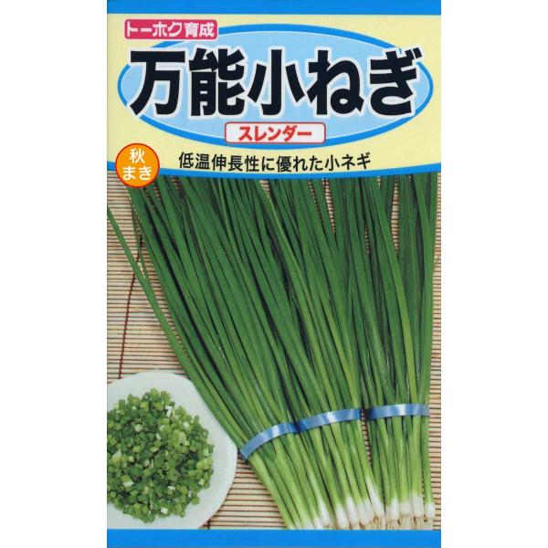 野菜の種 ネギ 万能小ねぎ スレンダー 優良配送のクリップポストで送料１５０円