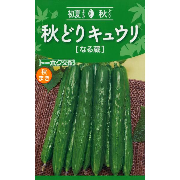 野菜の種 秋どりキュウリ なる蔵 きゅうり 優良配送のクリップポストで１０袋まで送料１５０円