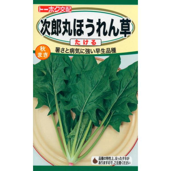 野菜の種 次郎丸ほうれん草 優良配送のクリップポストで１０袋まで送料１５０円