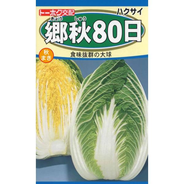 野菜の種 白菜 郷秋８０日 １０袋まで優良配送のクリップポストで送料１５０円