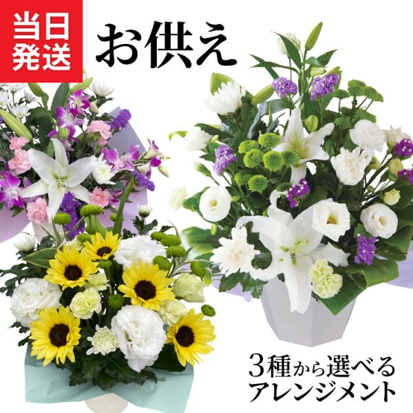 ・商品内容生花アレンジ(百合、菊、プレー菊、スプレーカーネーション、季節のお花、グリーン(葉物))、切花栄養剤、お手入れのしおり・花サイズ（約）和（なごみ）、季節限定（ひまわり）：幅30cm、高さ45cm静（しずか）：幅40cm、高さ35c...