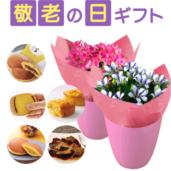 ●商品内容カランコエまたはリンドウ白寿、選べるお菓子、敬老の日メッセージ入りお手入れガイド●商品サイズ（約）カランコエ、リンドウ白寿　幅：11cm、高さ：16cm●5種から選べるスイーツ・文明堂 月三笠どら焼き(3ヶ入)・文明堂 カステラ巻...