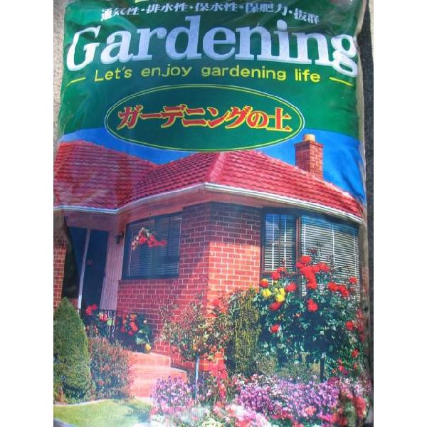 Ԃ̉IWi|{y@25L@1܁@yƂ̓sz@ yzyꌧ͔zsz