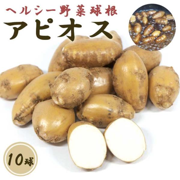 【こちらはご予約商品です】【発送時期の異なる商品とは同梱できません】発送時期が異なる商品を同時注文される場合、別送となるため追加で送料が発生します！発送時期については商品名・配送予定欄にてご確認いただくか、事前に同梱可能かお問合せください。...