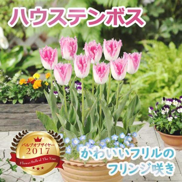 【発送時期の異なる商品とは同梱できません】発送時期が異なる商品を同時注文される場合、別送となるため追加で送料が発生します！発送時期については商品名・配送予定欄にてご確認いただくか、事前に同梱可能かお問合せください。※写真はイメージです。植物...