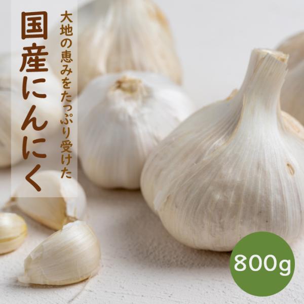 にんにく 種球根 【 約800ｇ 】 国産 サイズ無選別 Ｓサイズ〜Ｌサイズ 及びカケ片含む ニンニク garlic スタミナ 野菜 栽培 花の大和