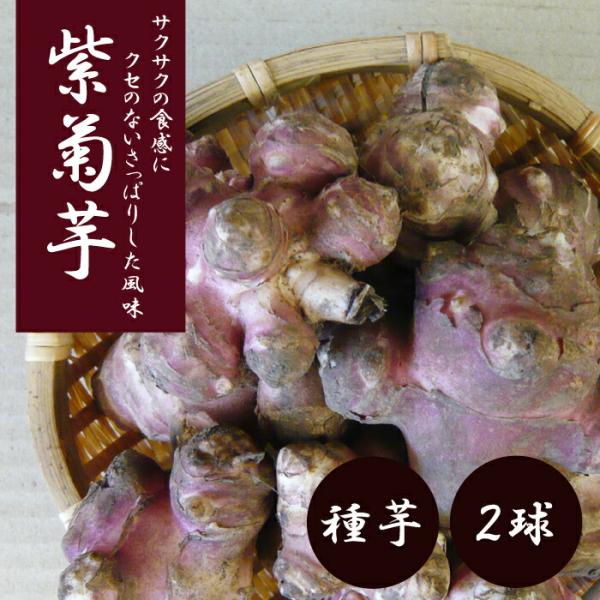 【こちらはご予約商品です】【発送時期の異なる商品とは同梱できません】発送時期が異なる商品を同時注文される場合、別送となるため追加で送料が発生します！発送時期については商品名・配送予定欄にてご確認いただくか、事前に同梱可能かお問合せください。...