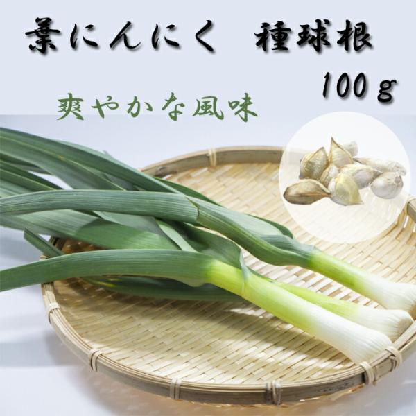 【こちらはご予約商品です】【発送時期の異なる商品とは同梱できません】発送時期が異なる商品を同時注文される場合、別送となるため追加で送料が発生します！発送時期については商品名・配送予定欄にてご確認いただくか、事前に同梱可能かお問合せください。...