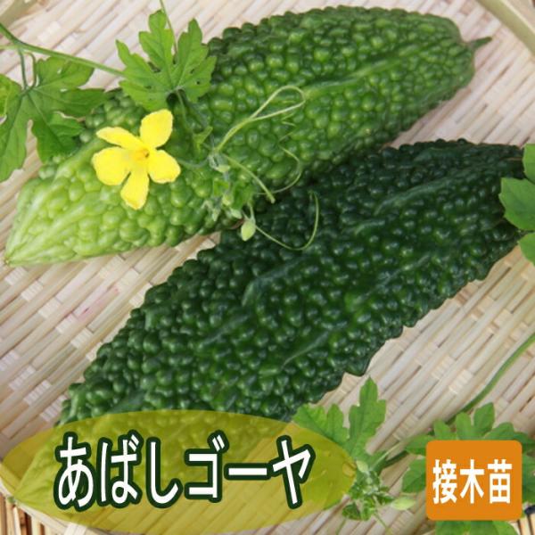 【こちらはご予約商品です】【発送時期の異なる商品とは同梱できません】発送時期が異なる商品を同時注文される場合、別送となるため追加で送料が発生します！発送時期については商品名・配送予定欄にてご確認いただくか、事前に同梱可能かお問合せください。...