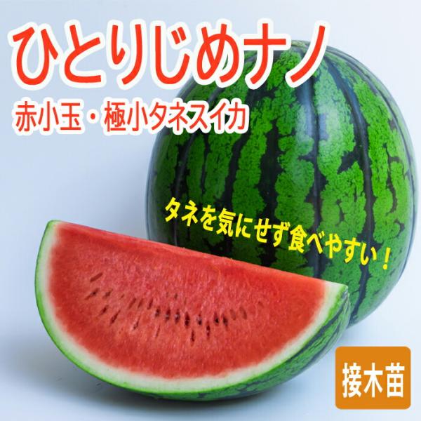 【こちらはご予約商品です】【発送時期の異なる商品とは同梱できません】発送時期が異なる商品を同時注文される場合、別送となるため追加で送料が発生します！発送時期については商品名・配送予定欄にてご確認いただくか、事前に同梱可能かお問合せください。...
