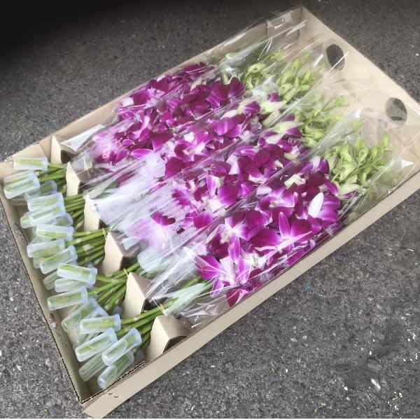 ft@LTCY1{Fi150{j150{ł̔̔łB