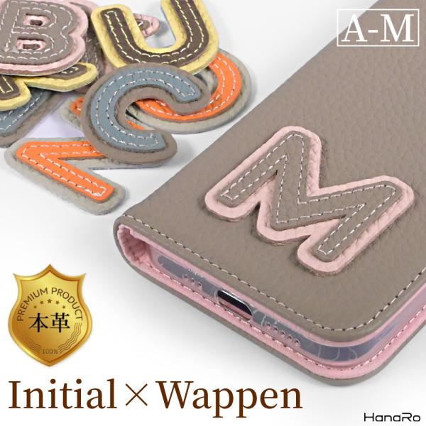 hanaro_acs-sl-initial-a
