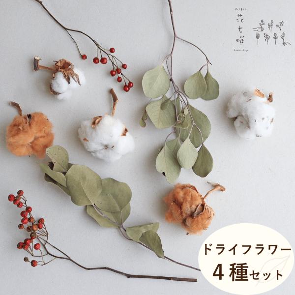 オレンジや赤がかわいい野バラの実に白と茶色のふわふわの綿の実とシックなグリーンのユーカリで秋冬インテリアに自然を取り入れて♪サイドボードにそのまま置いて、ひもやリボンで結わえて枝ものに吊るしたり、サークルフックにつってもかわいい♪ナチュラル...