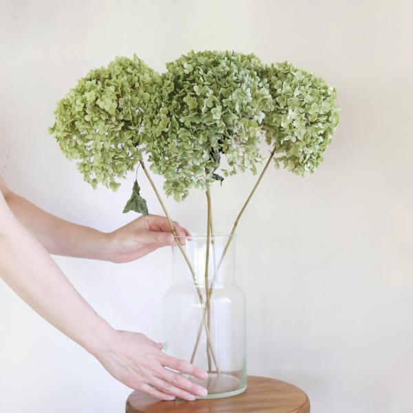 インテリアやディスプレイに大人気のあじさい・アナベルの枝付ドライフラワー。お花の直径が約15〜20cmサイズです。イエローグリーンの淡い色味で小さめのがくがふんわり集まったかわいいアナベルは通常のあじさい枝付きよりも優しげな印象。長めの枝と...