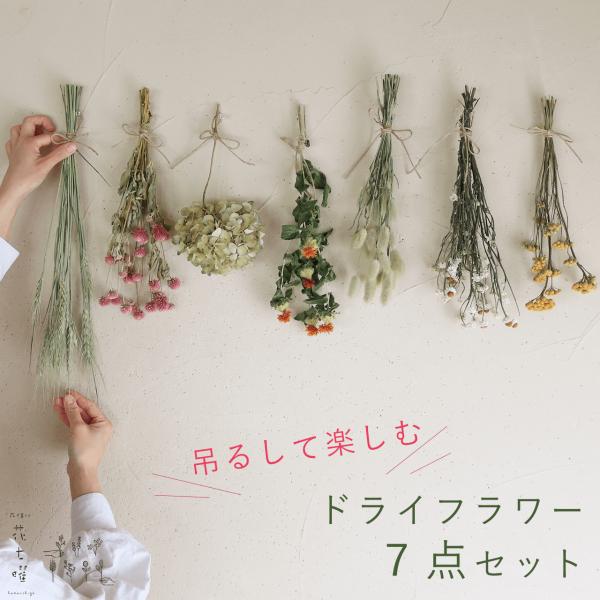 ドライフラワーセット⑦ hanasichiyo_d-dry7set