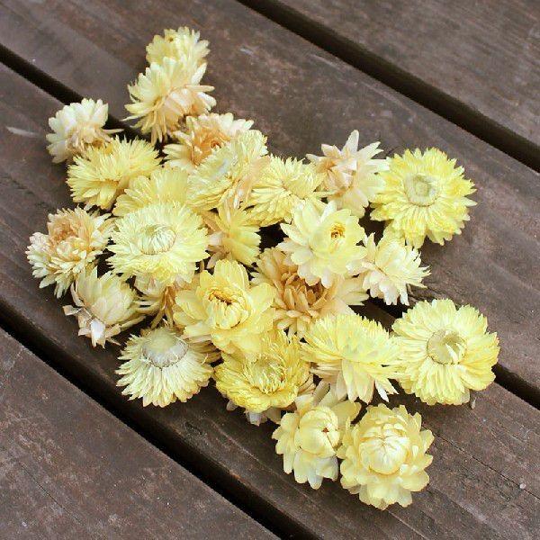 y hCt[ zwNT wbh N[ ikCYj