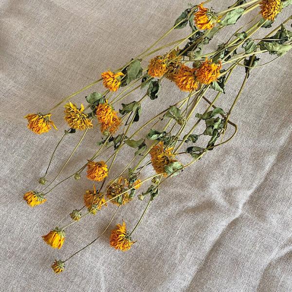 ドライフラワー リース 材料の人気商品 通販 価格比較 価格 Com