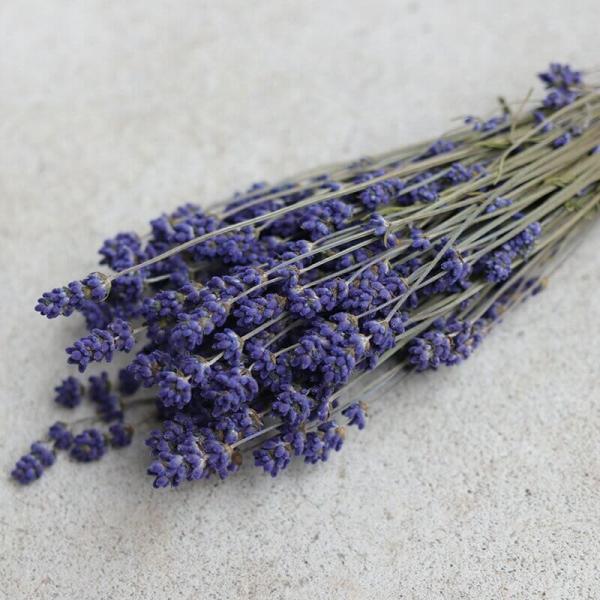 y xǖY hCt[ z x_[ R ނ炳 Z / kCY nhCh i` CeA n[u