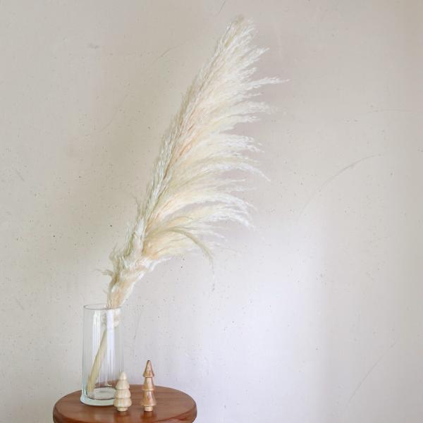 大枝 約80〜90cm 】 パンパスグラス ＊ ドライフラワー 穂もの