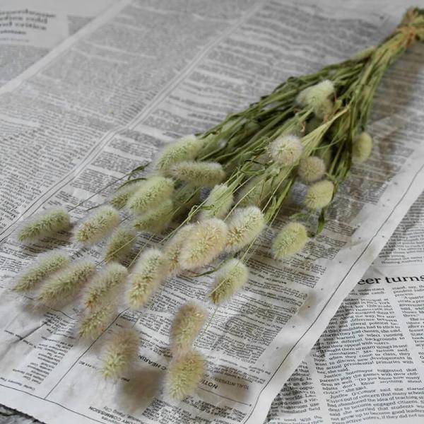 OX  ̂ oj[e[ hCt[ / kCY ԍ [X  i` CeA O[ 킢