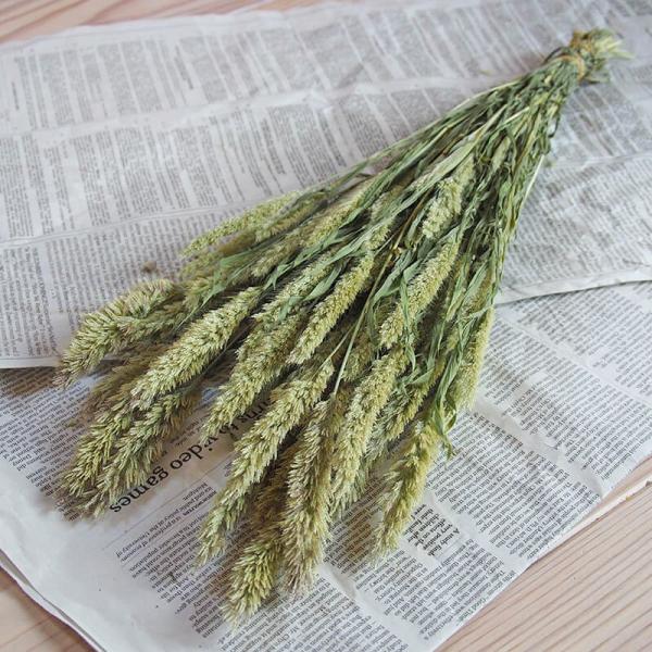 }`A / kCY hCt[ ԍ [X  Y ޗ f i` CeA OX O[