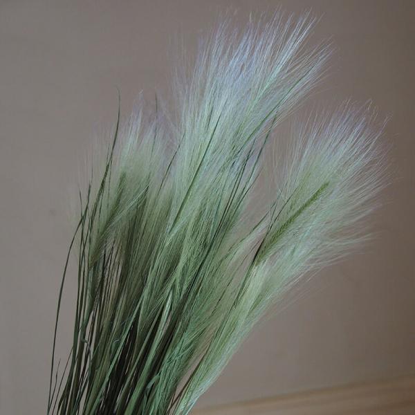 X̔ ( zW[ )/ kCY hCt[ ԍ [X  i` CeA O[ OX