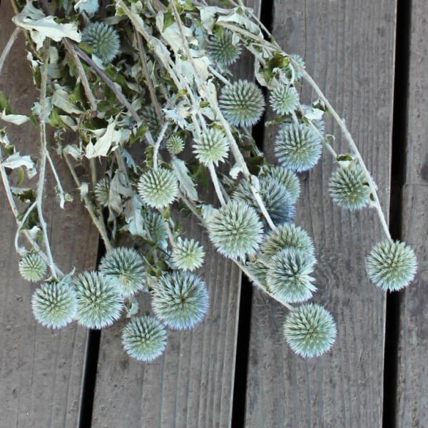 y hCt[ z ^}AU~ / kCYhCt[ nhCh CeA {^jJ fBXvC i`