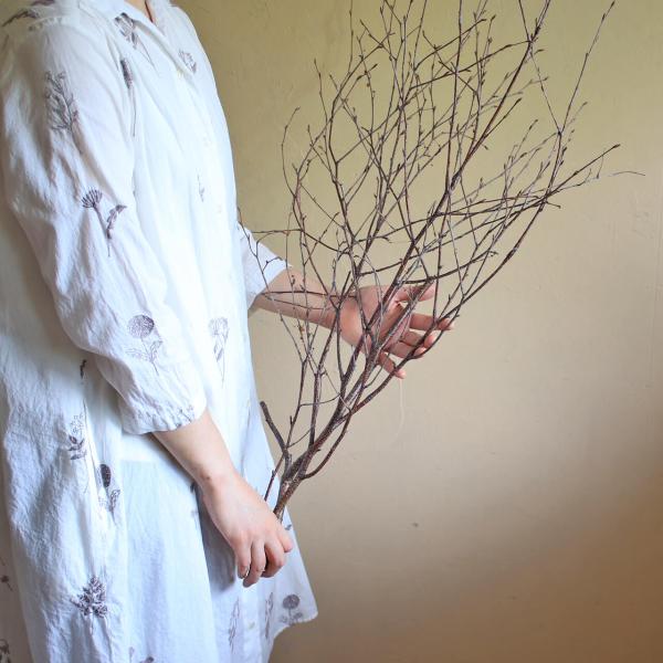 北海道富良野産の高さが60cm〜80cmのロング丈の白樺の木の若枝のドライフラワー。つるりとしたダークブラウンの樹皮で細い枝がすらっとのびます。そのままフラワーベースに活けるだけでおしゃれ。アンティーク調の植木鉢にも似合います。壁や天井から...