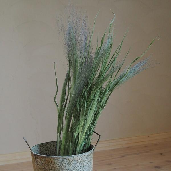 y hCt[ z X[NOX /  kCY CeA i` O[  {^jJ VbN O[