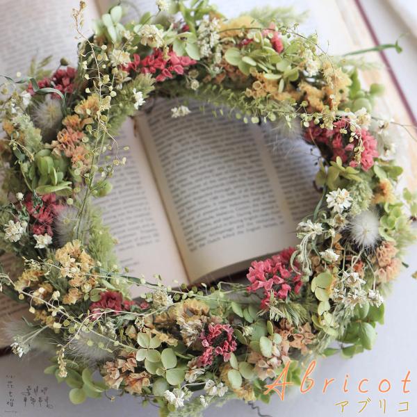 アプリコットカラーのスターチスにふわふわのラグラスの穂、あじさいグリーンアナベルをあわせた明るいナチュラルなドライフラワーリースです。キナリのアキレアパールがかわいいアクセントに。ピンクのリースやブルーやグリーン系のリースやドライフラワーと...