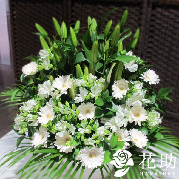 yԉ񂩂n͂z@,@v,,ԁy,D,摜zt[RVFWIԉ̌䋟AWgԁ@20000~