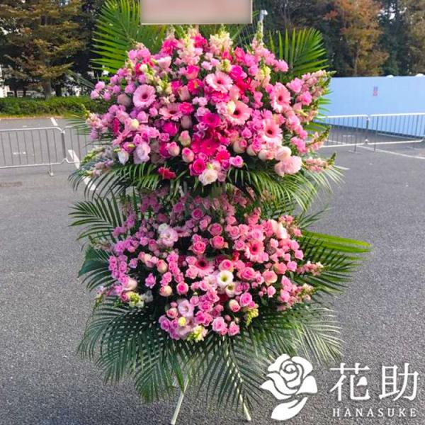 ԐF͑Iׂ25Fyz,D,摜,zySΉX^hԁzt[RVFWIԉ̂jX^h2i@70000~@