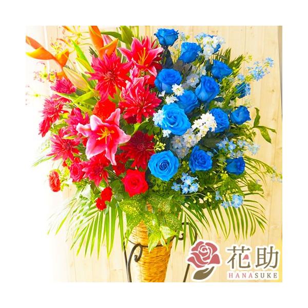 yIׂoCJ[zt[RVFWIԉ́yEEzn[tn[tX^h1i 20000~ ꖼD