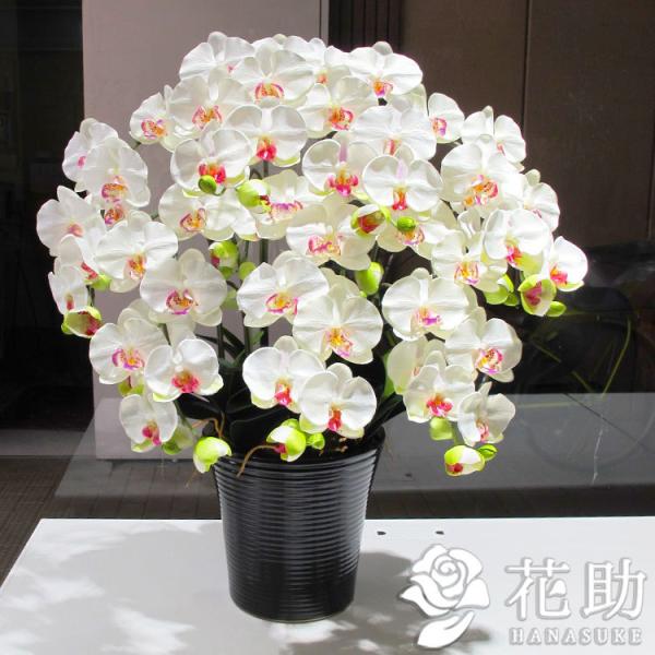 G}@ԁ@Ӓ@(j@V{@43000~