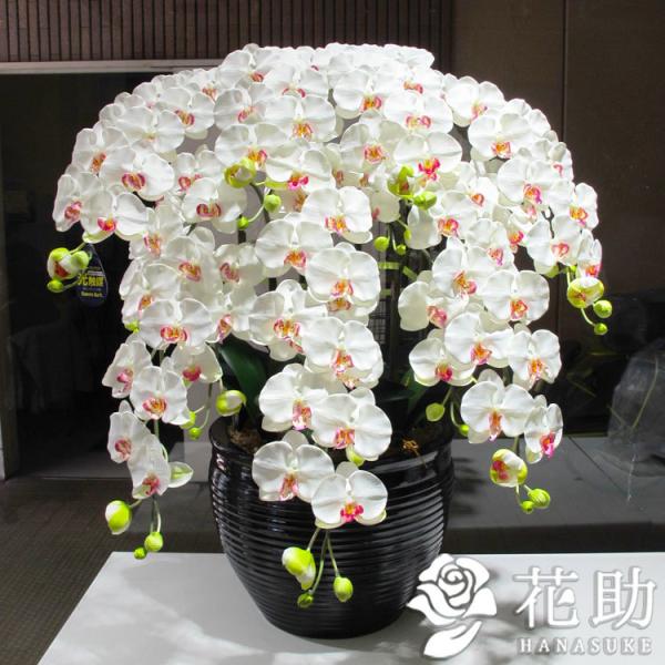 G}@ԁ@Ӓ@(j@V{@60000~