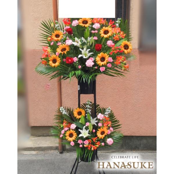 �y�Č���I8/31�܂Łz�y�J���t�����܂����̂݁z���ԉ����񂩂��n���͂��@�Ђ܂�����X�^���h�� 2�i�@20000�~ ���i�摜3