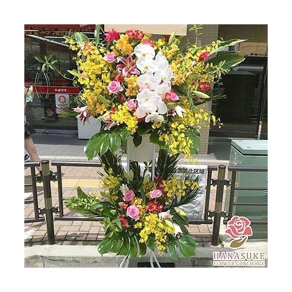 ԐF͑Iׂ25Fyz,D,摜,zySΉX^hԁzt[RVFWIԉ̂jX^h2i@32000~@